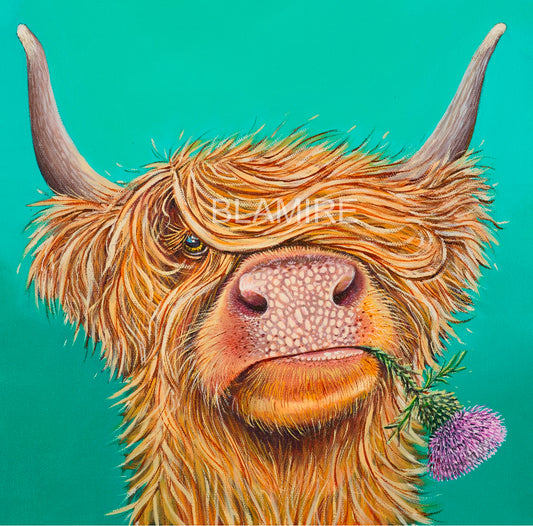 Wee Hamish highland coo print