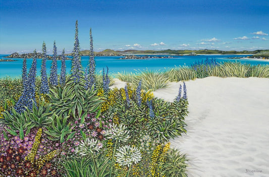 Tresco Scilly Print